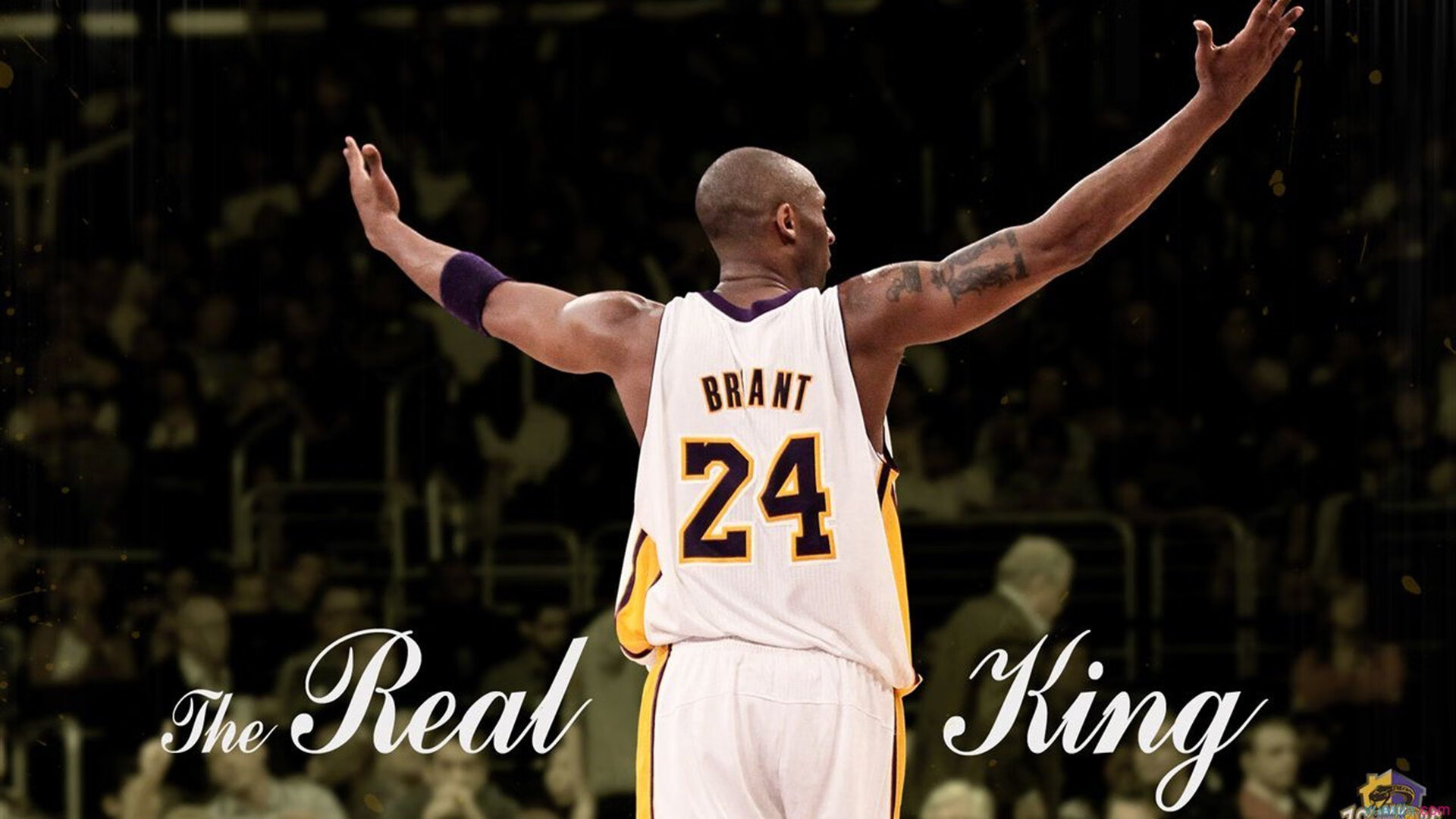 体育赛事技术创新案例