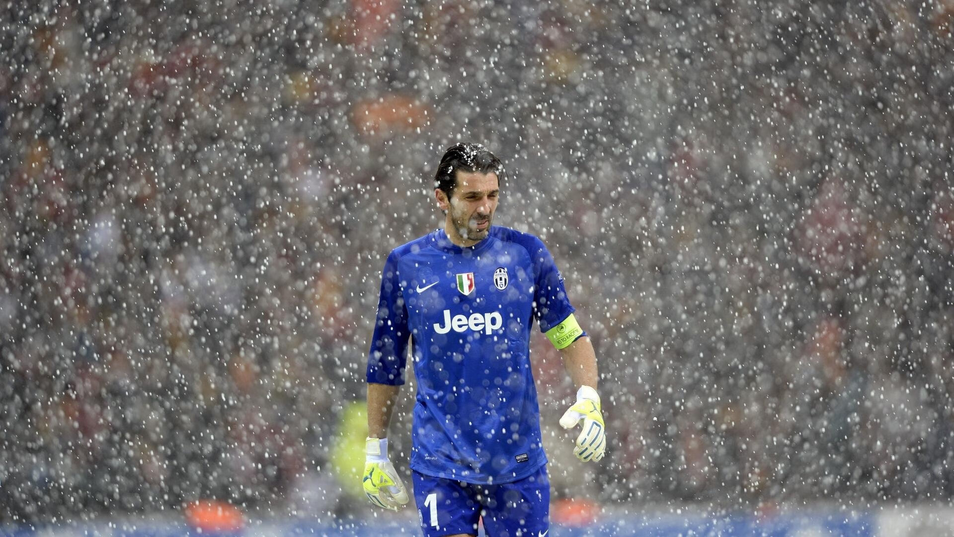 游泳自由泳项目成绩不断刷新